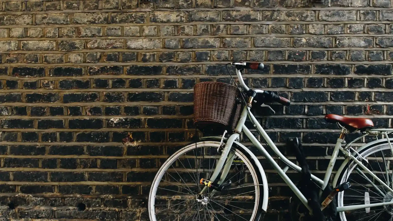Nell'immagine si vede nella parte in basso a destra una bicicletta bianca con sella marrone e cestino attaccato al manubrio. Lo sfondo è un muro di mattoni grigi.